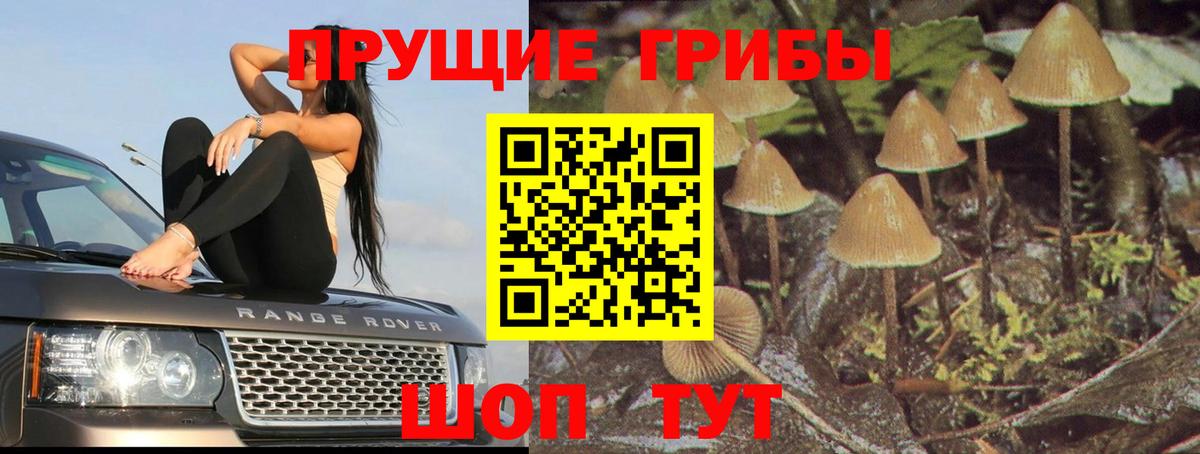 Псилоцибиновые грибы Cubensis  Вход с VPN  Ивантеевка  Галлюциногенные грибы MAGIC MUSHROOMS 